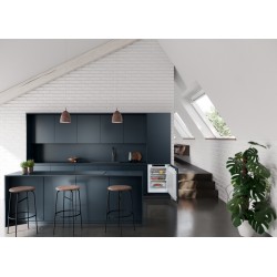 Liebherr IFNd 3503-22, Congélateur encastrable