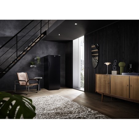 Liebherr WSbl 4601-20, Cave à vin de vieillissement