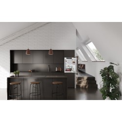 Liebherr IRSe 3901-22, Réfrigérateur encastrable