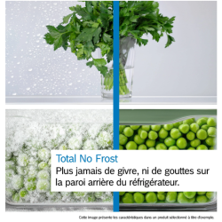 Bosch KGN33NSDB, Réfrigérateur combiné, Argent, Total No Frost